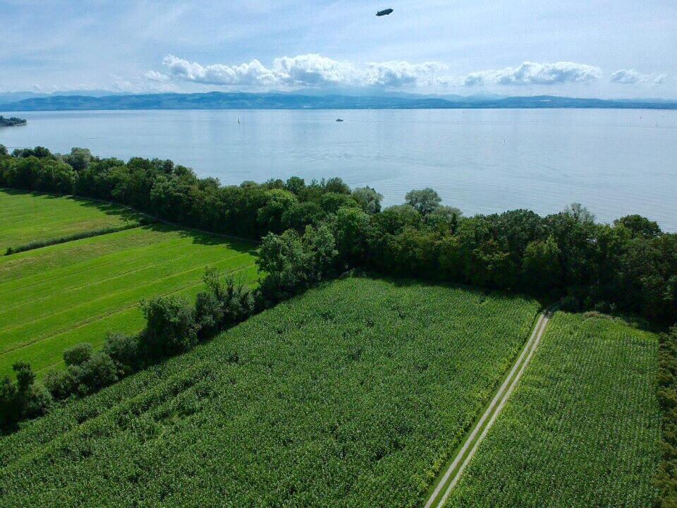 Wohlfuehlloft Seekretzer Mit Privatem Seezugang フリードリヒスハーフェン エクステリア 写真